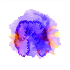 Vector paint of splash on white.abstract watercolor background