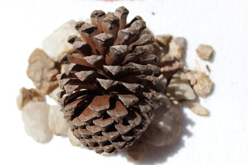 Composición de objetos de la naturaleza