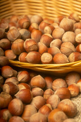 Hazelnuts in a wicker basket and hazelnuts scattered on a background of coarse-textured burlap. Close up.