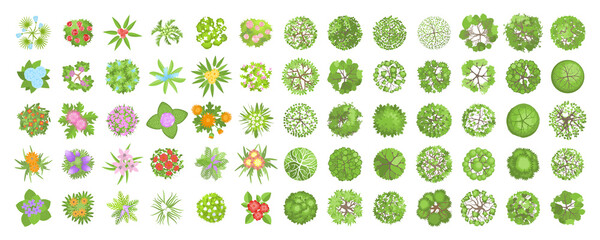 Vector set. Trees and flowers. Top view. Different plants and trees vector set for architectural or landscape design. (View from above) Nature green spaces.