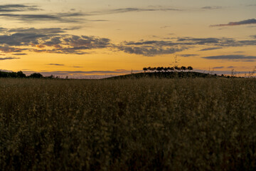 Kronsberg im Sonnenuntergang