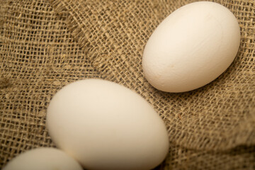 White chicken eggs on a background of homespun fabric with a rough texture. Close up.