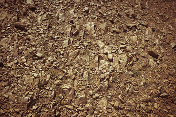 Steppe nature