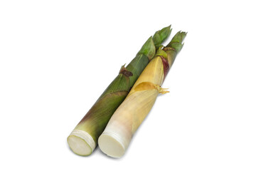 Fresh bamboo shoots isolated on a white background.