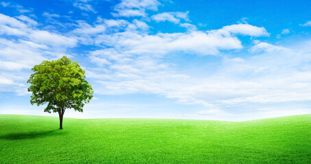 Fototapeta na wymiar Alone green tree on grass meadow field and little hill with white clouds and blue sky in summer seasonal.