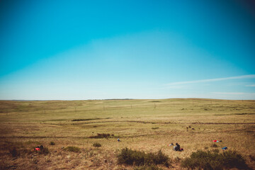 Steppe nature