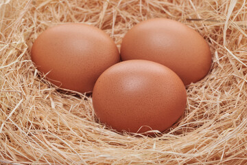 Eggs are very high in nutrients.