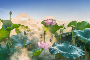 lotus flower blossom - obrazy, fototapety, plakaty