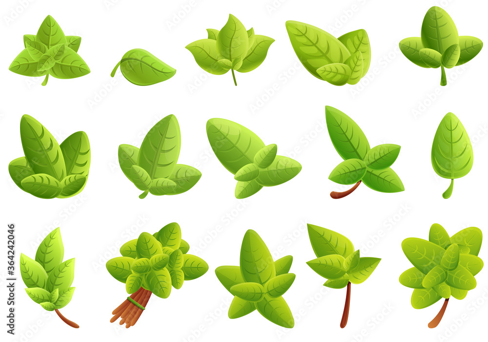 Poster basil icons set. cartoon set of basil vector icons for web design