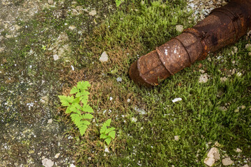 floor in an abandoned factory