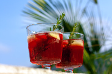 Two glasses with red refreshing summer drink or red wine, ice cube, pieces of watermelon and rosemary sprigs on nature tropical background. Summertime concept. Selective focus.