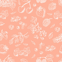 Vector Berries Seamless pattern. Hand Drawn doodle berries: strawberry, blueberries, black currant, raspberries, blackberries, red currants, gooseberries, cherries, rowan, mulberry. Pink background.
