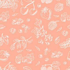 Vector Berries Seamless pattern. Hand Drawn doodle berries: strawberry, blueberries, black currant, raspberries, blackberries, red currants, gooseberries, cherries, rowan, mulberry. Pink background.
