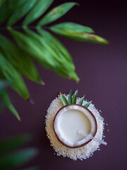 Cocos bowl with coconut milk and cocktails straw isolated on dark background. Authentic Natural exotic fruit and drinks at minimalist style, top view through the green tropical leaves.