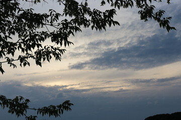 Sunset colored clouds in the sky