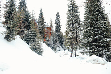 Ski resort on Dragobrat Ukraine in winter time.Beautiful sunny day on mountain 