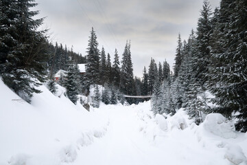 ski resort in winter