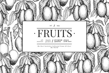 Mango design template. Hand drawn vector tropic fruit illustration. Engraved style fruit. Retro exotic food banner.