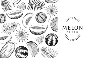 Watermelons, melons and tropical leaves design template. Hand drawn vector exotic fruit illustration. Engraved style fruit frame. Vintage botanical banner.