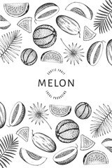Watermelons, melons and tropical leaves design template. Hand drawn vector exotic fruit illustration. Engraved style fruit frame. Vintage botanical banner.