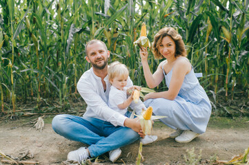 Cheerful family of three have a lot of fun together in the big cornfield in hot summer morning