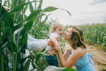 Obraz premium Picture of charming young caucasian woman with short hair in light blue dress relaxes with her little male baby with short fair hair in blue t-shirt and blue shorts in cornfield