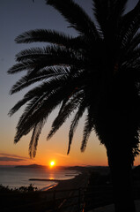 高知県から見る夕陽　Beautiful landscape of palm trees and sunset