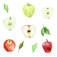 Set of vector watercolor apples sliced with leaves