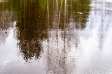 Autumn. Beautiful reflections of trees in the rain-wet asphalt. Blurred background.