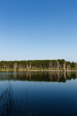 Landscape View Trees And Lake In Nature