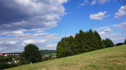 Schiefes Feld an einem Abhang mit Bäumen