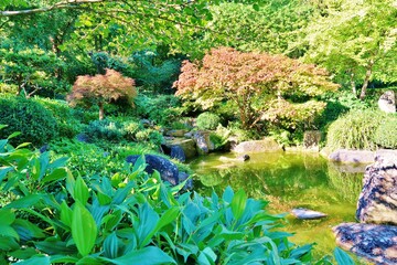 Würzburg, Japanischer Garten
