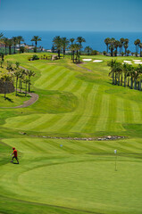   green golf courses , rest © Iliya Mitsk