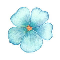 Watercolor blue flower illustration. Blue linen flower. Forger-me-not flower. Hibiscus. Single light blue flower isolated on a white background