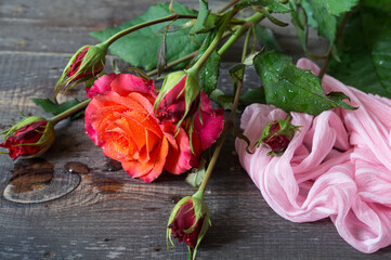 Red rose with buds on a dark wooden background