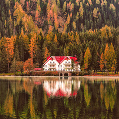 white and red house beside forest and body of water