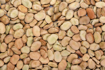 dried broad beans as background