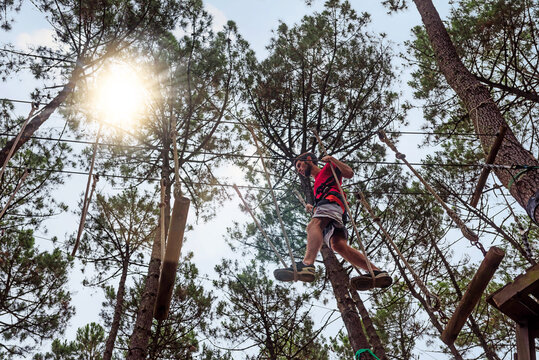 pretty young man doing tree climbing