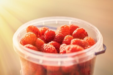 Red raspberries in a plastic bucket. Bright sunshine.