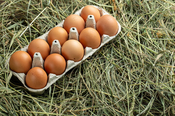 Tray with chicken eggs in the hay.