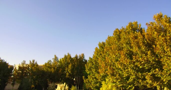 Karaj. IRAN. Hamoon Park, View of pond inside the park, Tilt-down C404