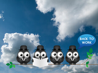 Comical back to work bird businessmen following COVID 19 economic shutdown set against a cloudy blue sky background