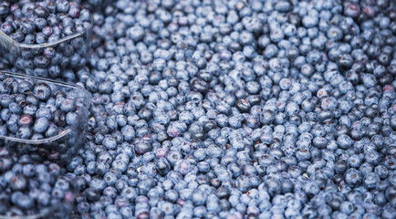 Blueberry close up. Berry background.
