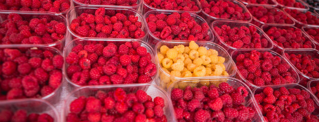 Raspberries in trays at the farmers market