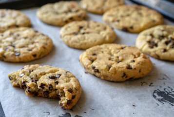 fresh baked classic chocolate chip cookies with nuts on the oven-tray