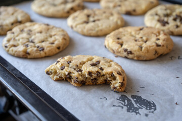 fresh baked classic chocolate chip cookies with nuts on the oven-tray