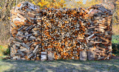 Firewood stacked for drying in the summer.
