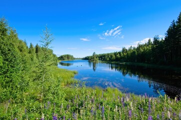 Beautiful and prestine lakes and forests are a part of the nature of Dalarna in Sweden.
