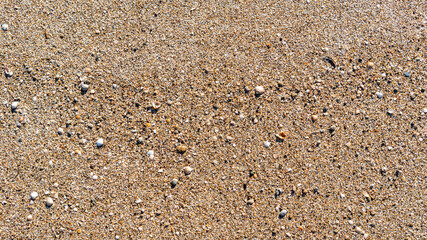sand texture background