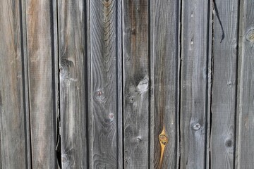 old wood texture